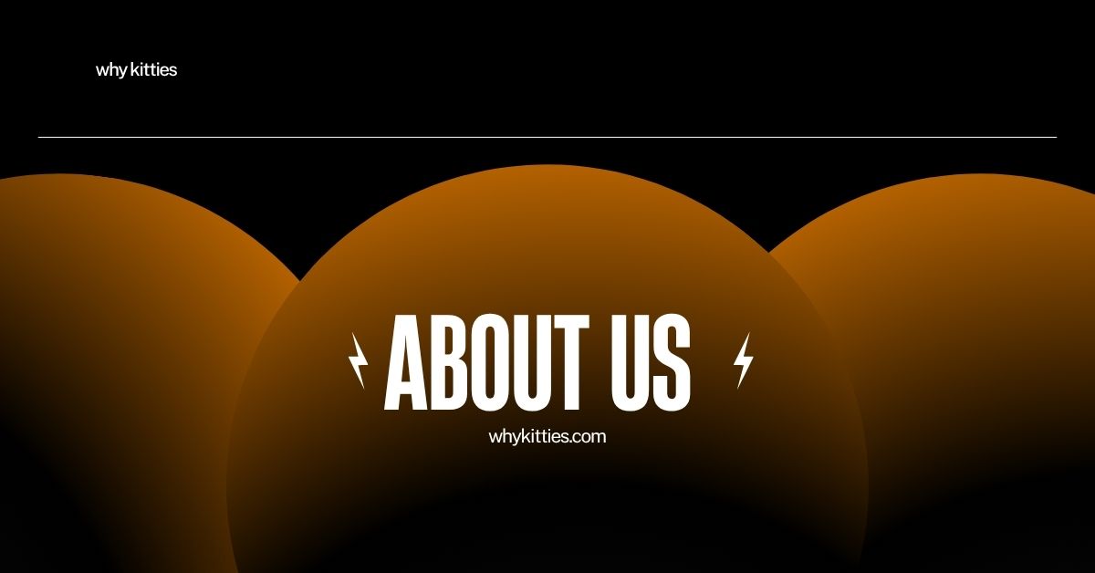 about us