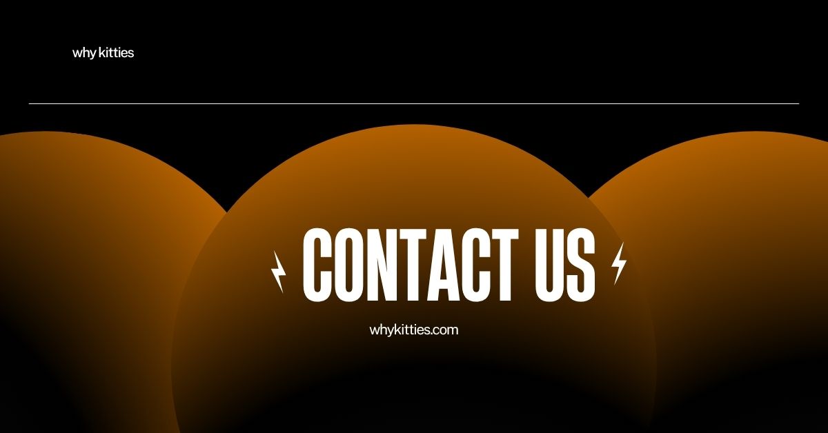 contact us