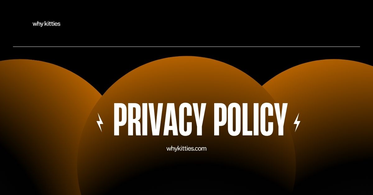 privacy policy